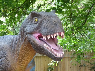 7 Hilarious Things Only a T-Rex Owner Would Understand